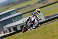 PJ-Motorsport-2019;anglesey-no-limits-trackday;anglesey-photographs;anglesey-trackday-photographs;enduro-digital-images;event-digital-images;eventdigitalimages;no-limits-trackdays;peter-wileman-photography;racing-digital-images;trac-mon;trackday-digital-images;trackday-photos;ty-croes